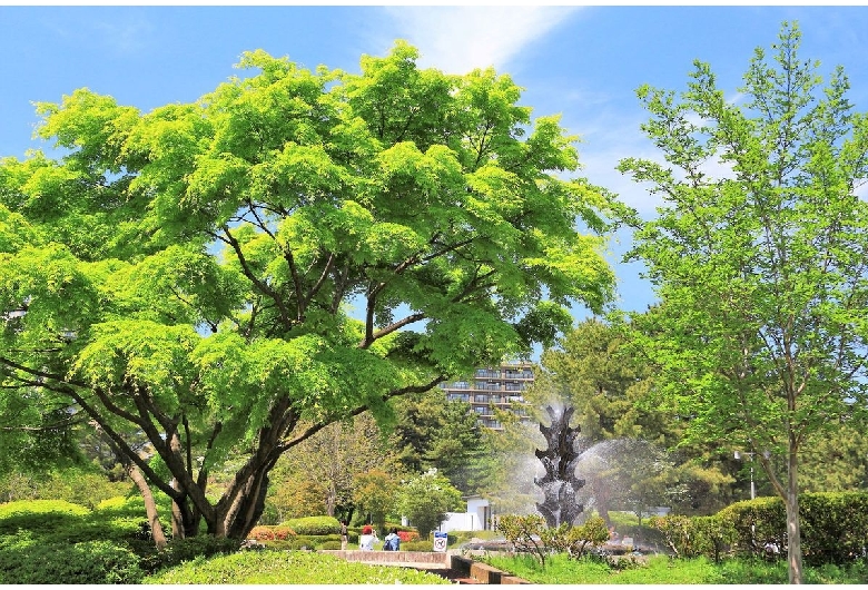 榴岡公園