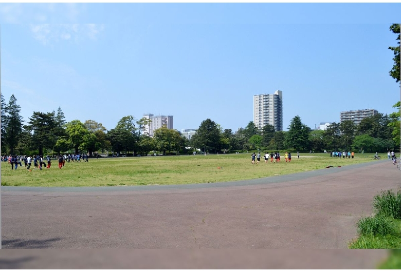 榴岡公園