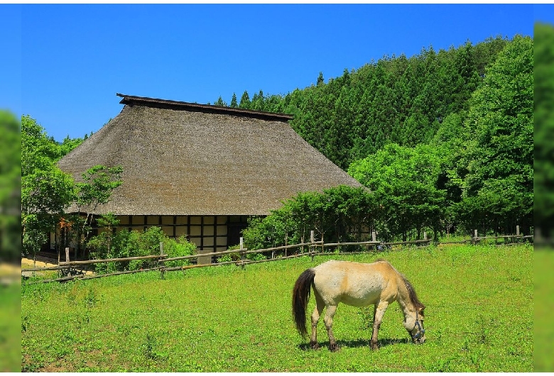 遠野ふるさと村