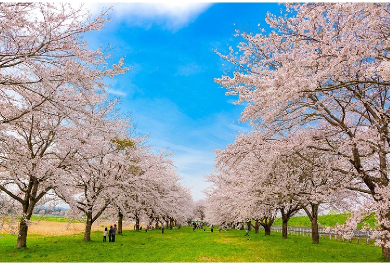 水沢競馬場