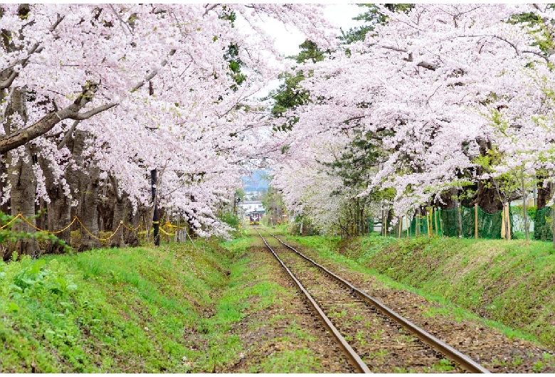 芦野公園