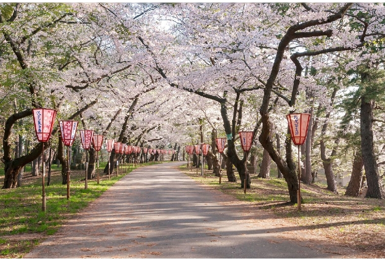 芦野公園