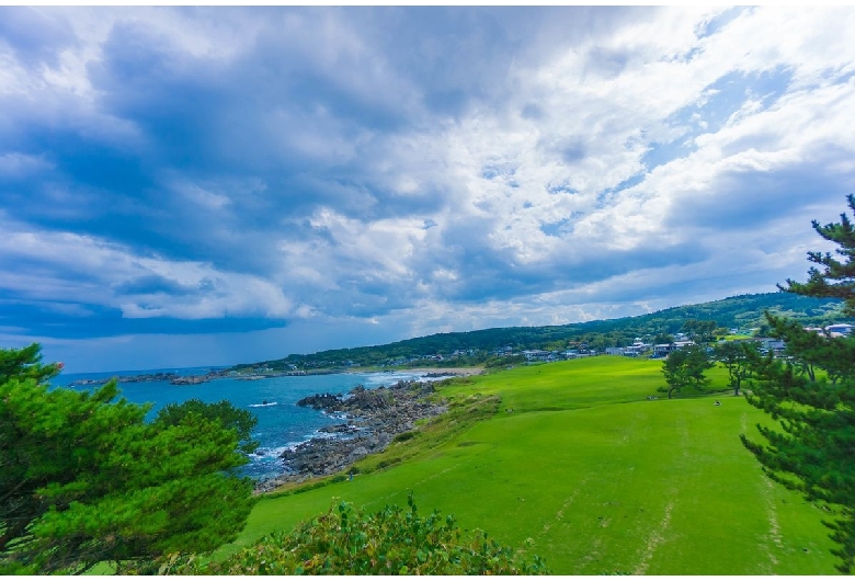 種差海岸（葦毛崎展望台）