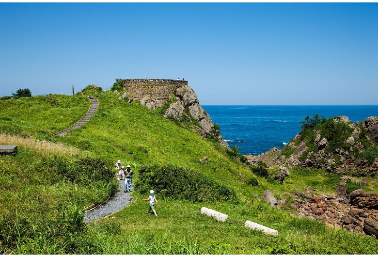 種差海岸（葦毛崎展望台）