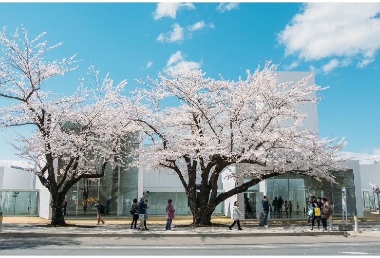 十和田市現代美術館