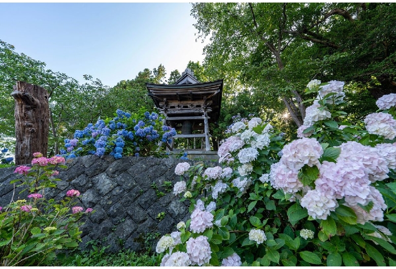 有珠善光寺