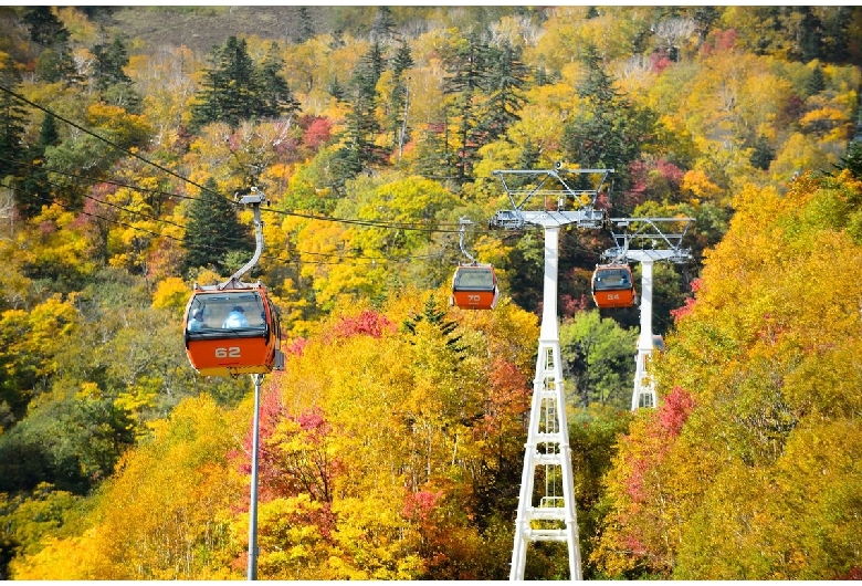 札幌国際スキー場紅葉ゴンドラ