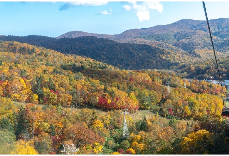 札幌国際スキー場紅葉ゴンドラ