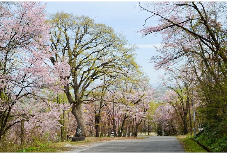 旭山記念公園