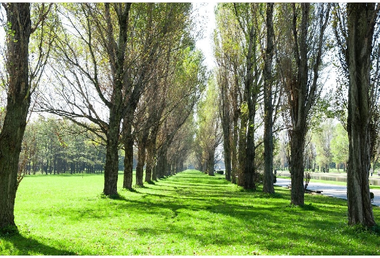 前田森林公園