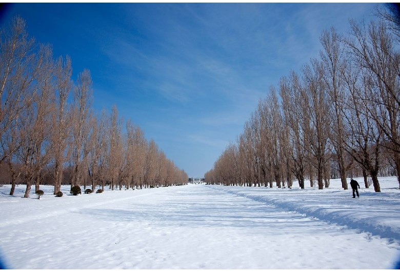 前田森林公園