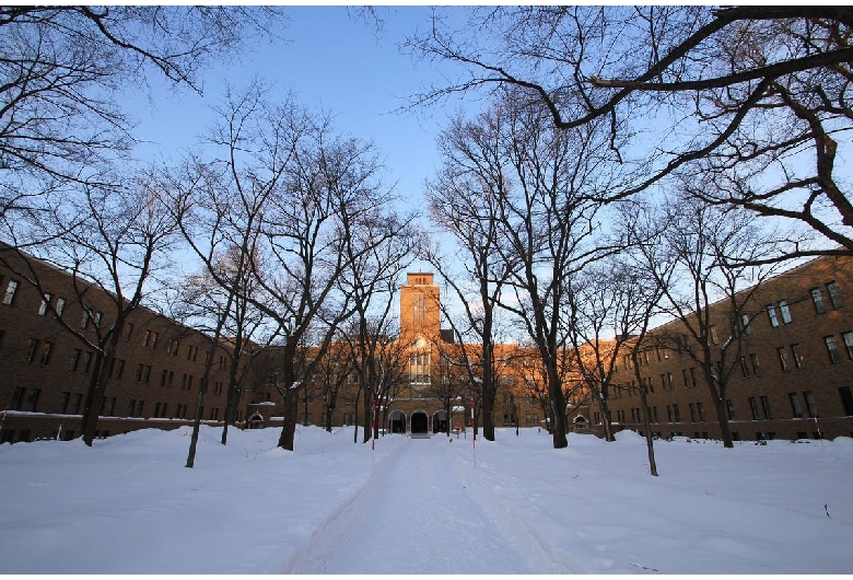 北海道大学