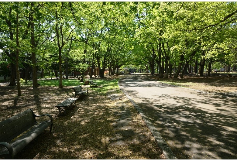 円山公園