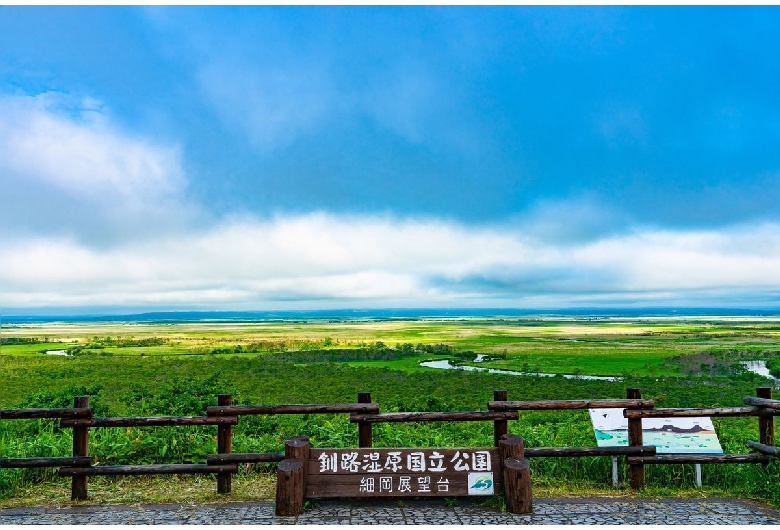 釧路湿原（細岡展望台）