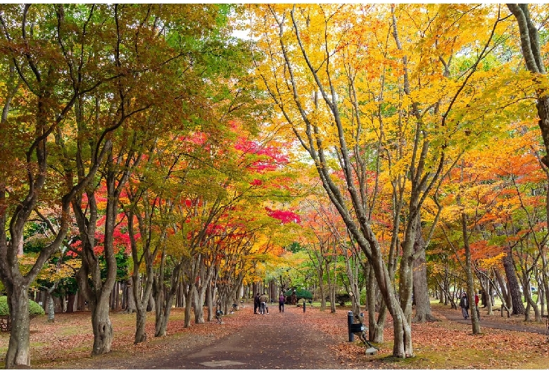 【函館】見晴公園（香雪園）