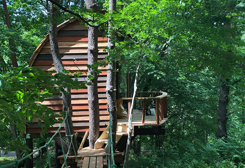 TREEHOUSE INAWASHIRO “HILO”