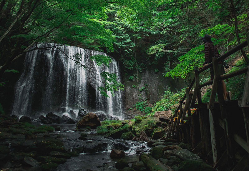 TREEHOUSE INAWASHIRO “HILO”