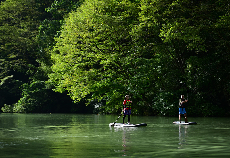 Green gift outdoors nagano