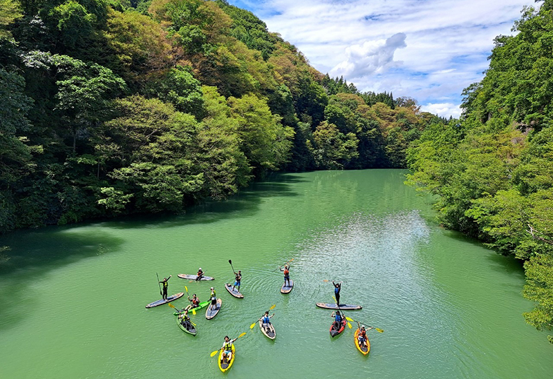 Green gift outdoors nagano