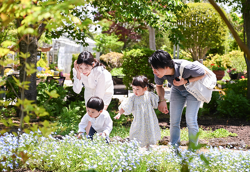 ハーブ庭園旅日記　富士河口湖庭園