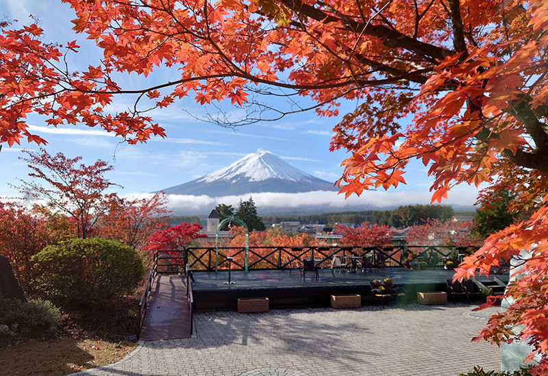 ハーブ庭園旅日記　富士河口湖庭園