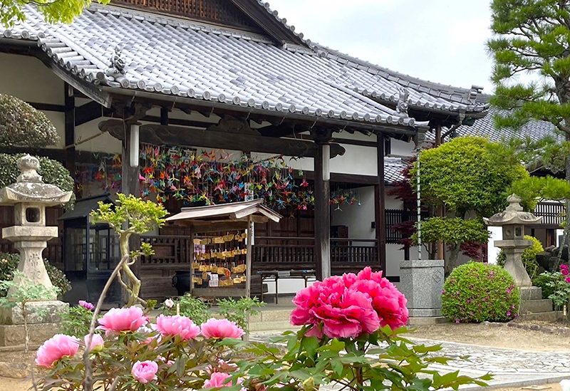 牡丹の寺　愛染寺