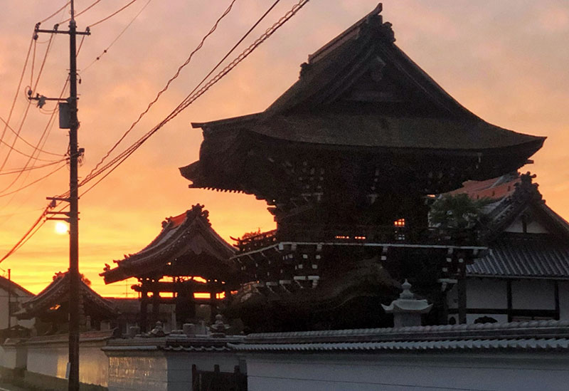 牡丹の寺　愛染寺