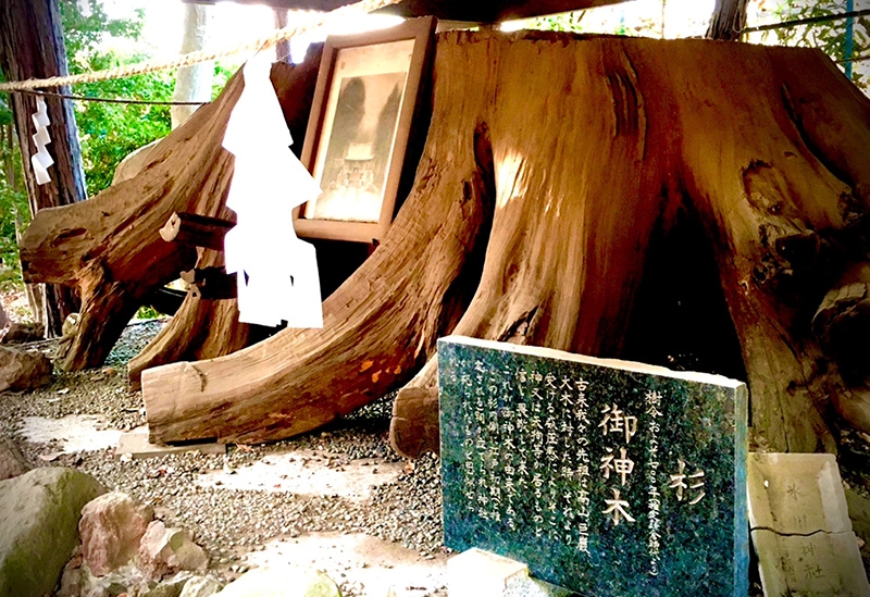 馬場氷川神社