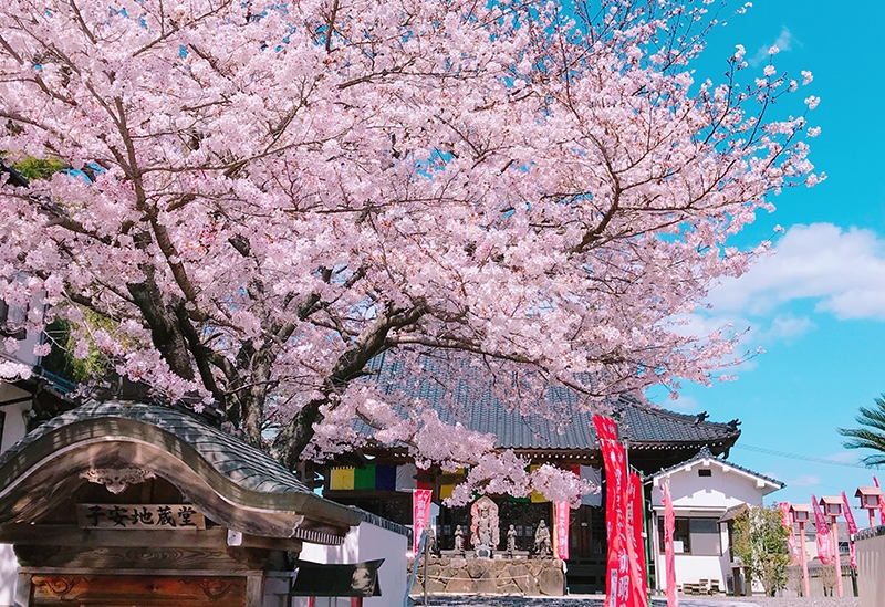 秋葉山　光妙院