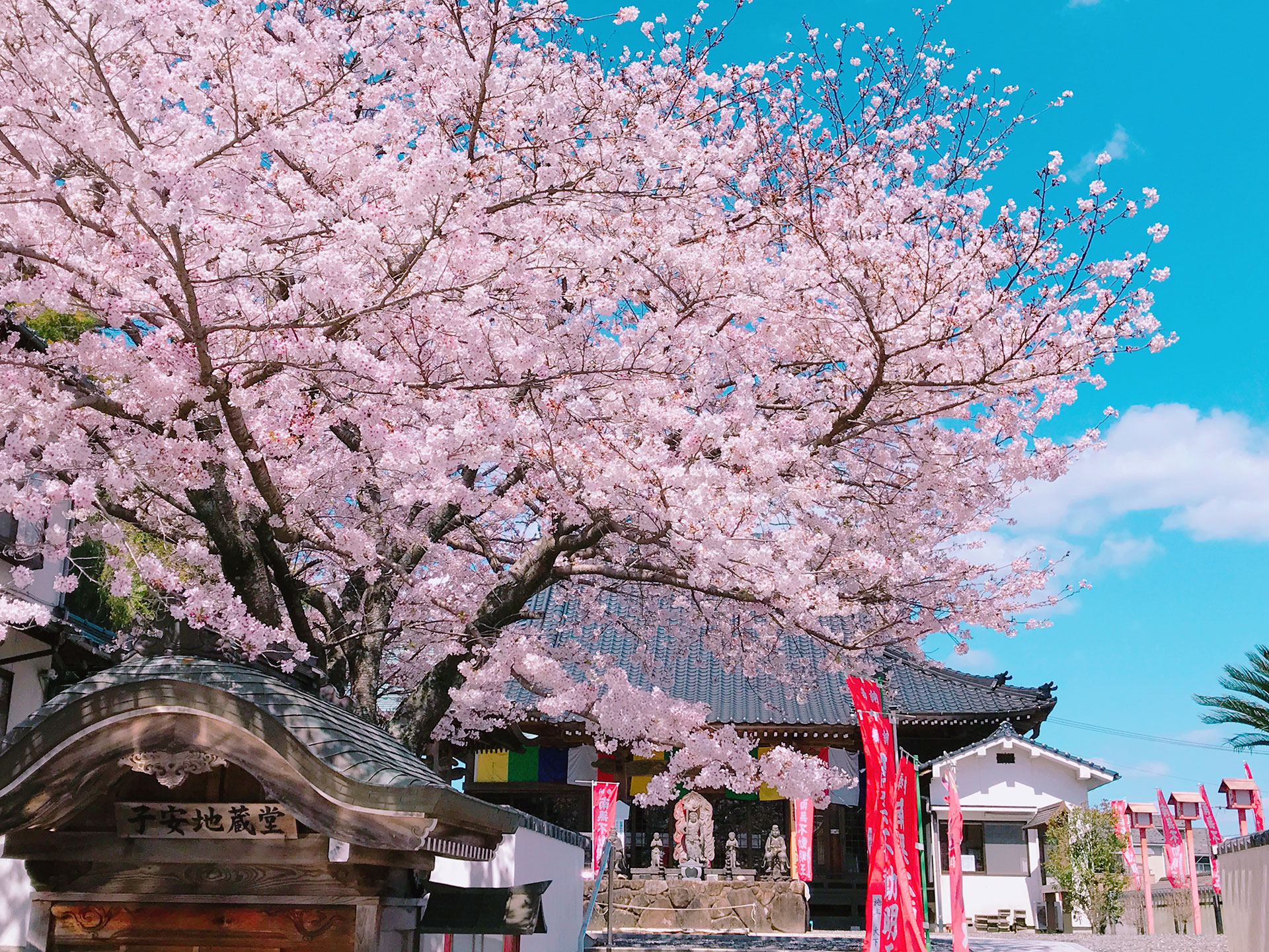 秋葉山　光妙院