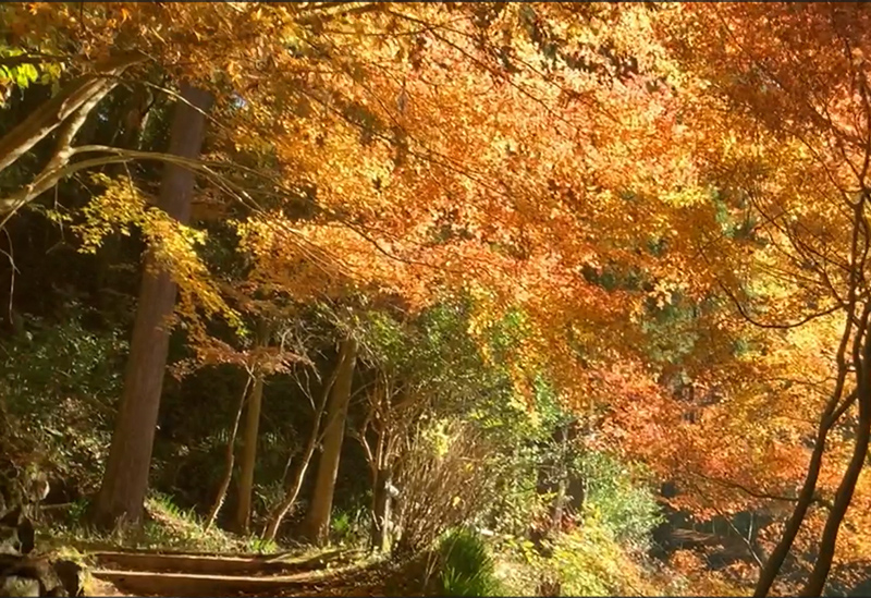 重源の郷