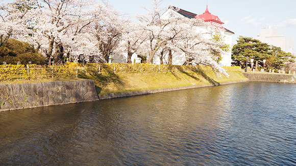春の画像1