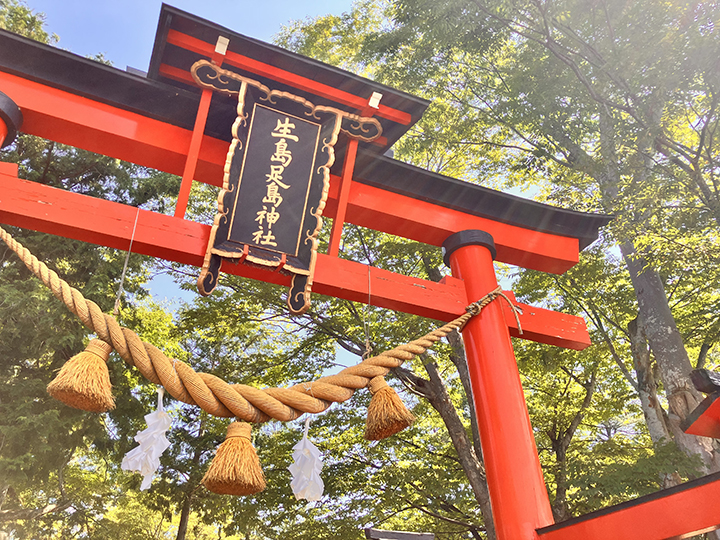 長野一度は行きたい！おすすめの神社仏閣