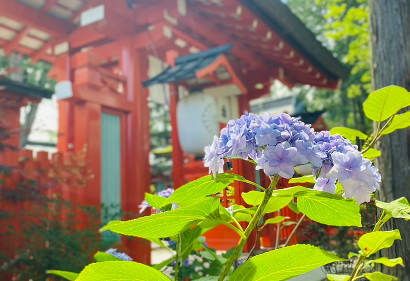 生島足島神社