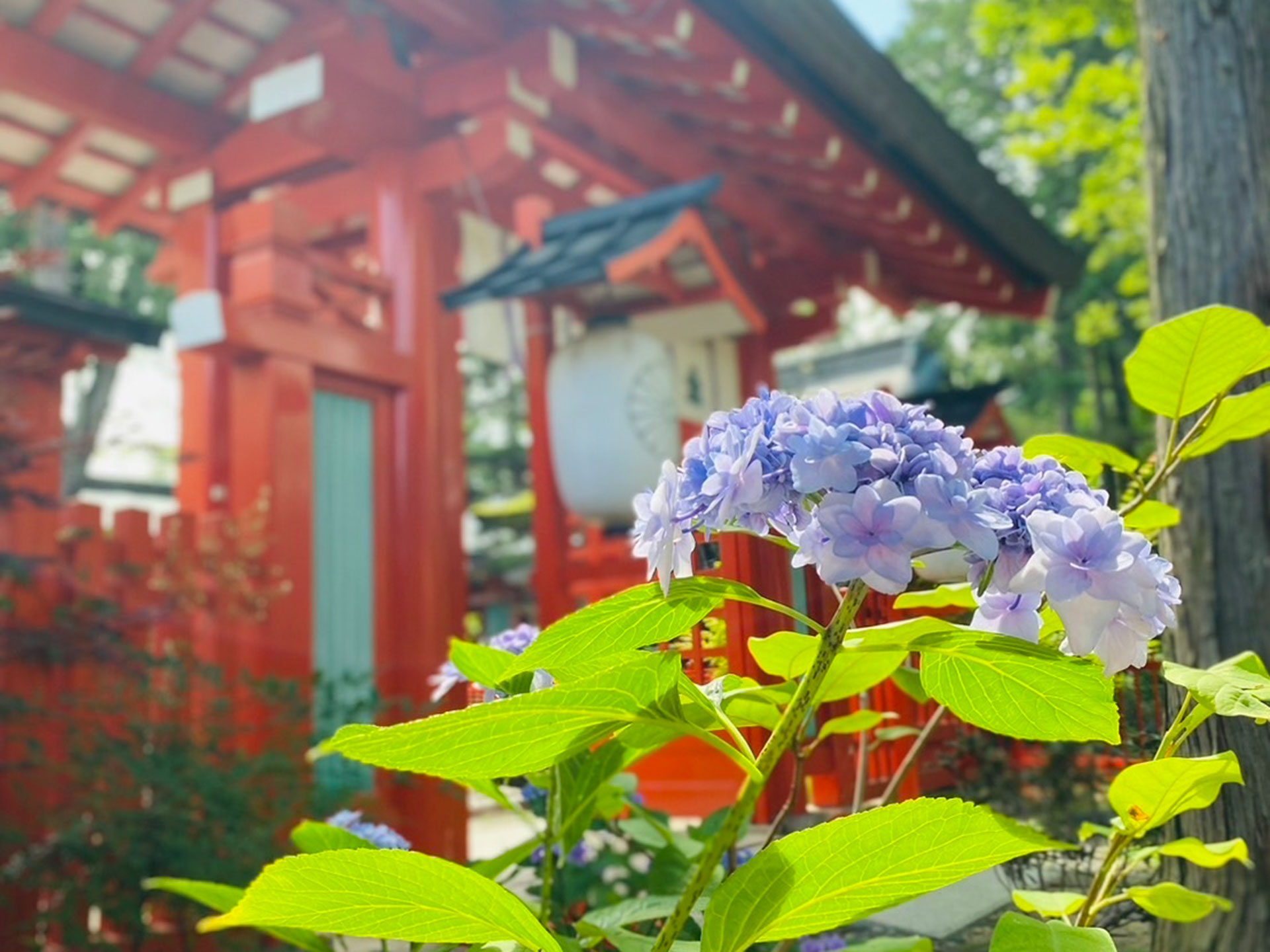 生島足島神社