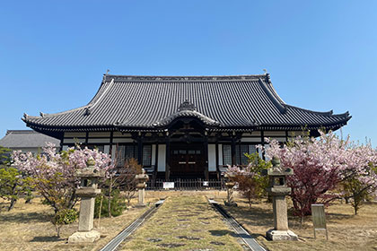 春の画像2