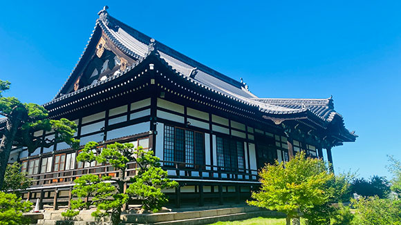 夏の画像1