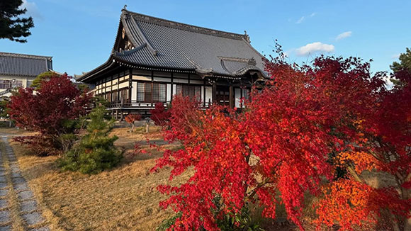秋の画像1