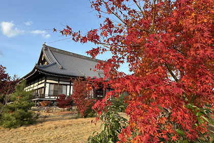 秋の画像2