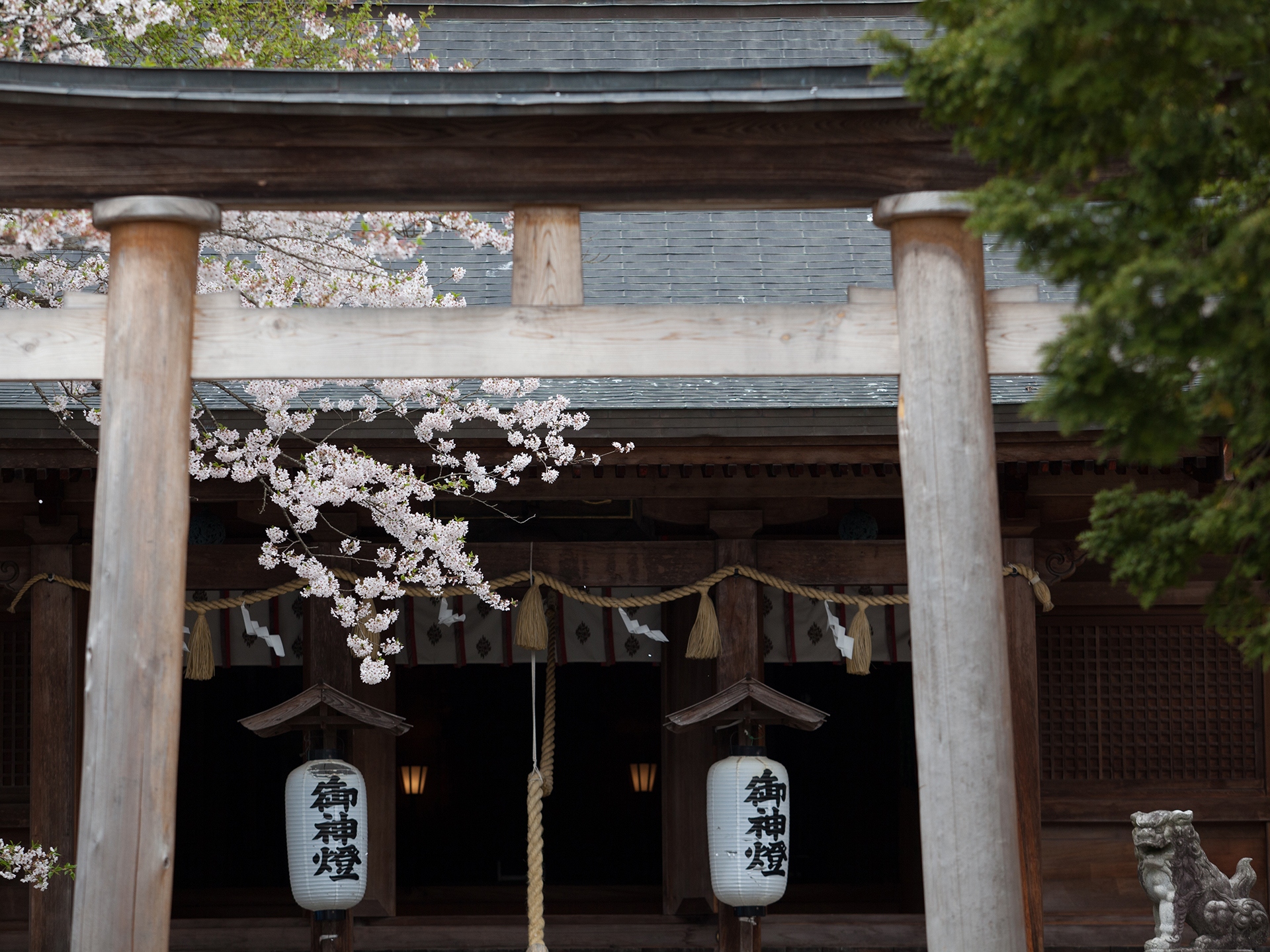 戸澤神社