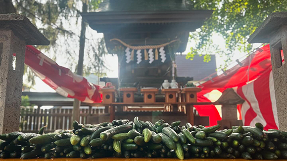 夏の画像1