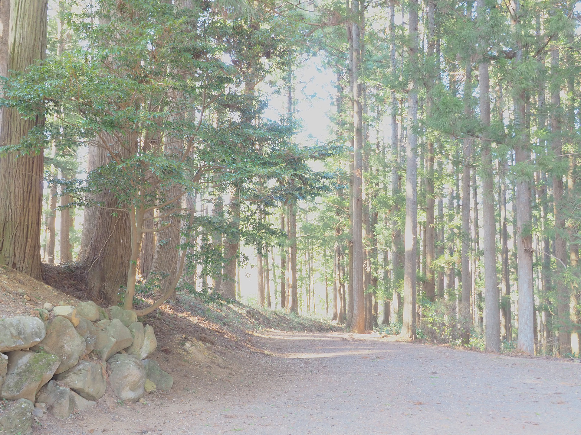 坪沼八幡神社