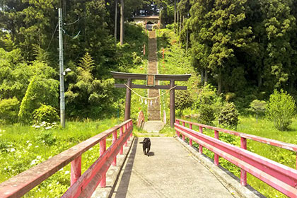 夏の画像2