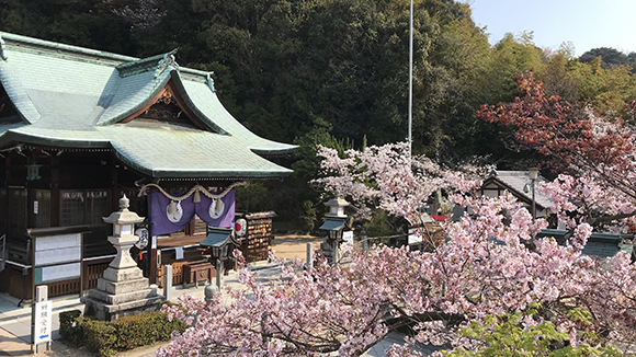 春の画像1