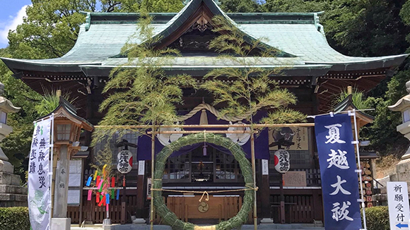 夏の画像1