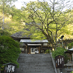 大興善寺