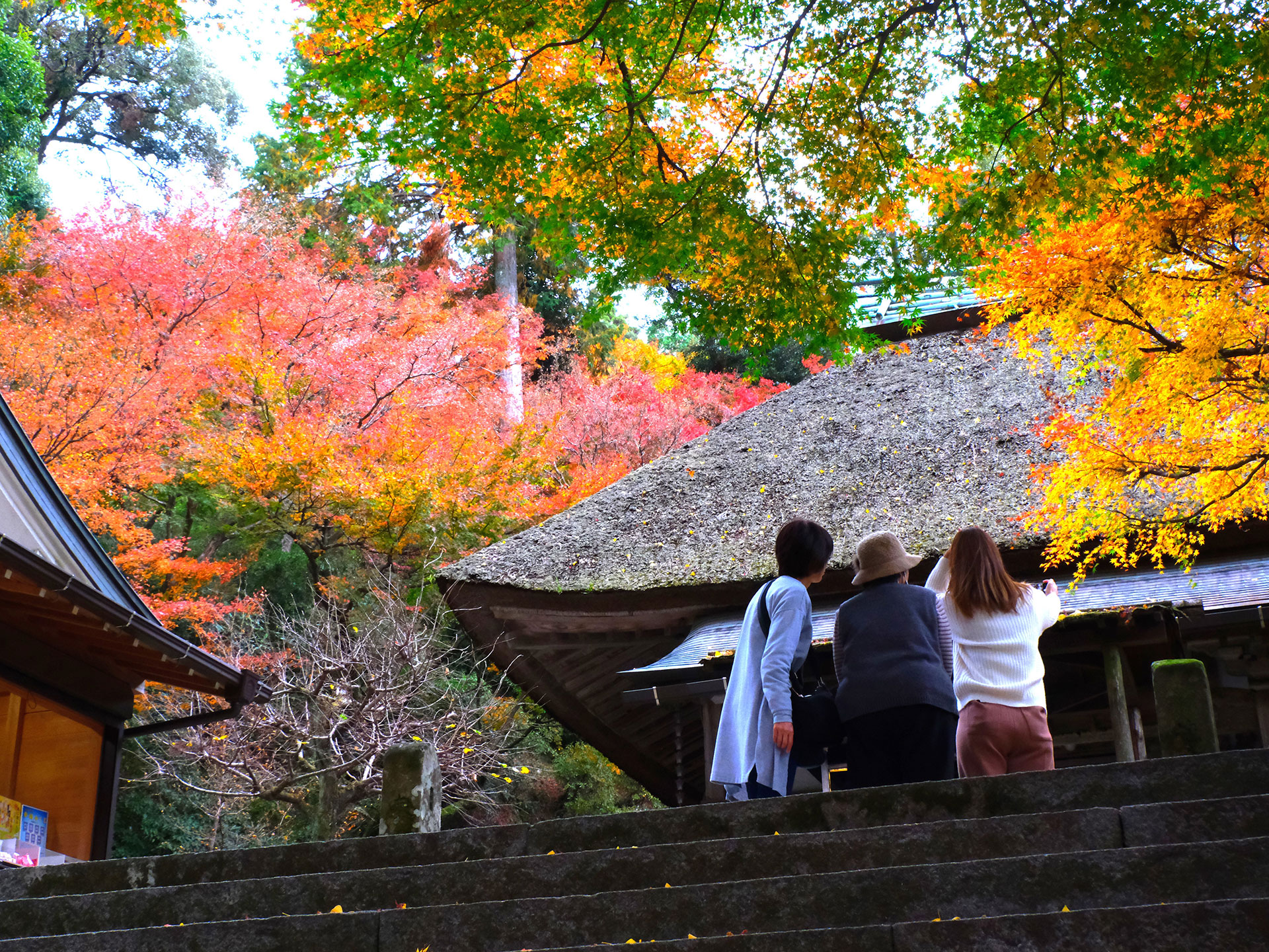 大興善寺