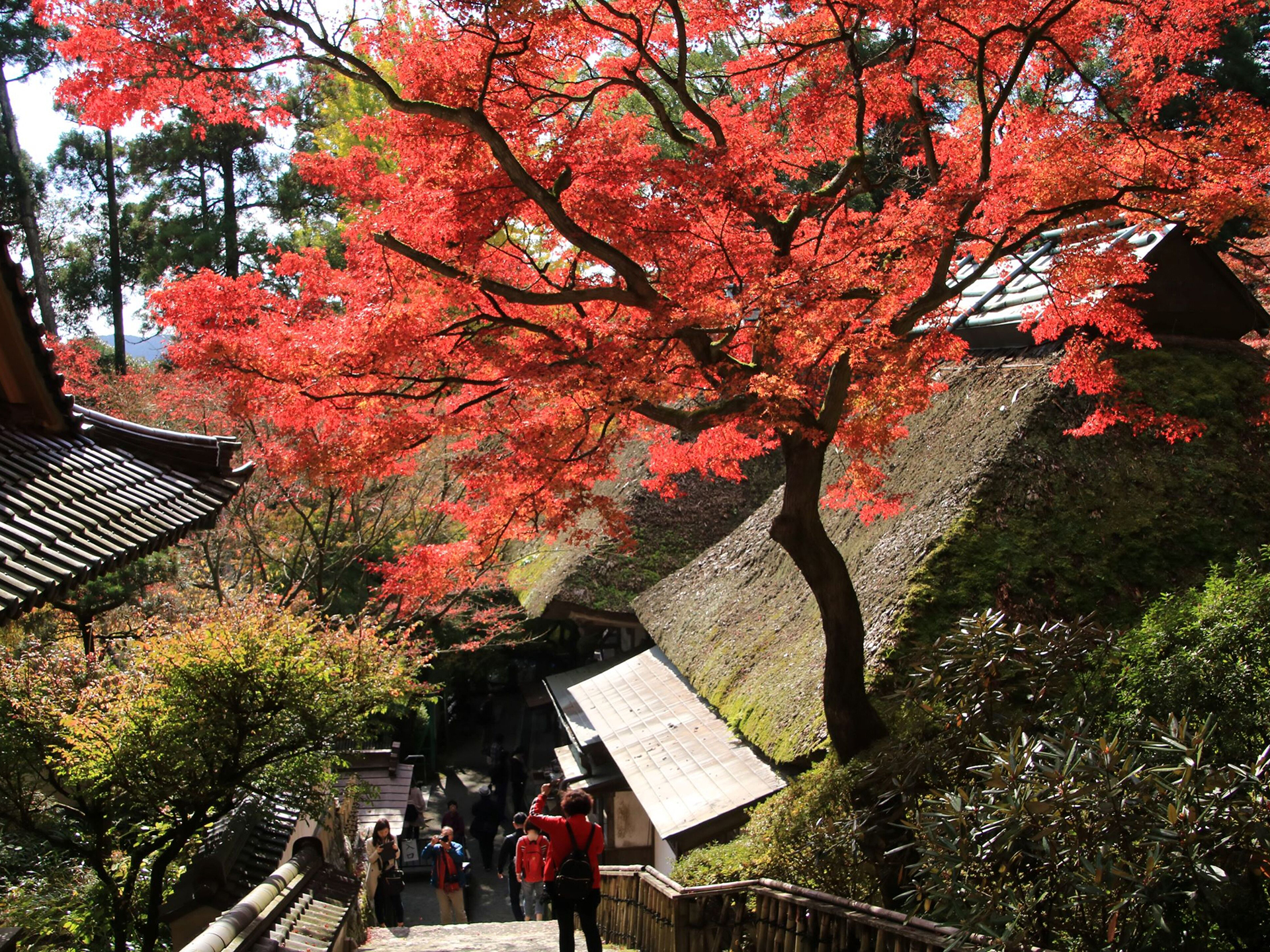 大興善寺