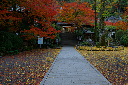 秋の画像2