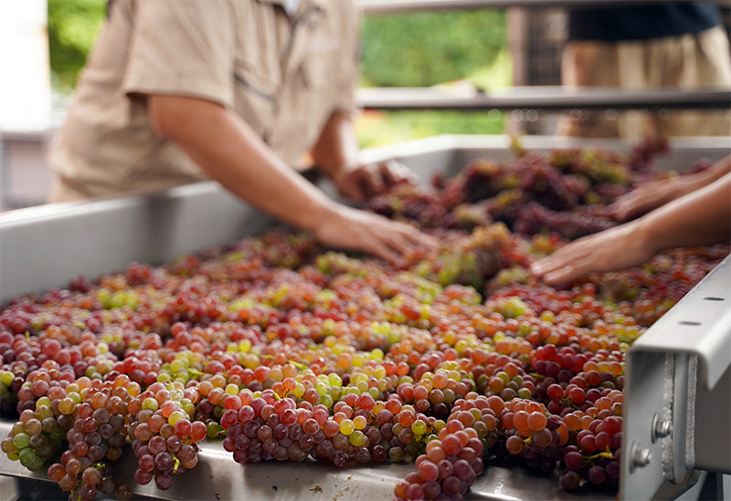 まるき葡萄酒-Maruki Winery-